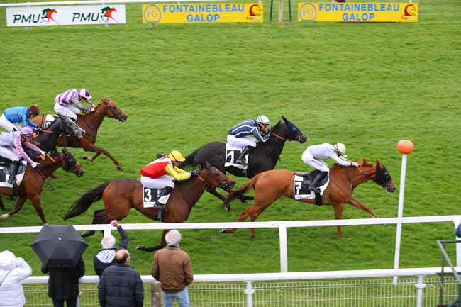 Photo d'arrivée de la course pmu PRIX DES SENTIERS DENECOURT - HANDICAP CHALLENGE à FONTAINEBLEAU le Lundi 21 avril 2025