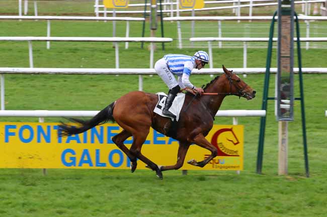 Photo d'arrivée de la course pmu PRIX DE BARBIZON (PRIX DES PINS) à FONTAINEBLEAU le Lundi 21 avril 2025