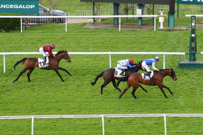 Photo d'arrivée de la course pmu PRIX DU TRIANGLE DE ROCQUENCOURT à SAINT CLOUD le Mercredi 23 avril 2025