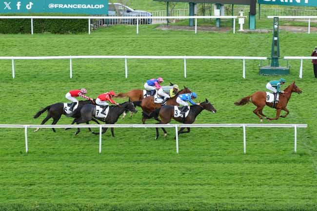 Photo d'arrivée de la course pmu PRIX SICARELLE à SAINT CLOUD le Mercredi 23 avril 2025
