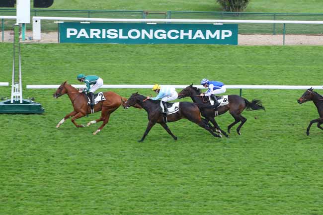 Photo d'arrivée de la course pmu PRIX DU PONT NEUF à LONGCHAMP le Jeudi 24 avril 2025