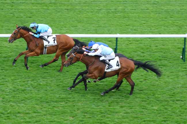 Photo d'arrivée de la course pmu PRIX DE BALARD à LONGCHAMP le Jeudi 24 avril 2025