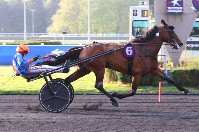 Photo d'arrivée de la course pmu PRIX DE VILLECRESNES à PARIS-VINCENNES le Vendredi 25 avril 2025