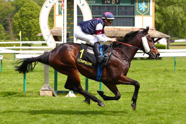 Photo d'arrivée de la course pmu PRIX DU MONT SAINT-PIERRE à COMPIEGNE le Vendredi 25 avril 2025