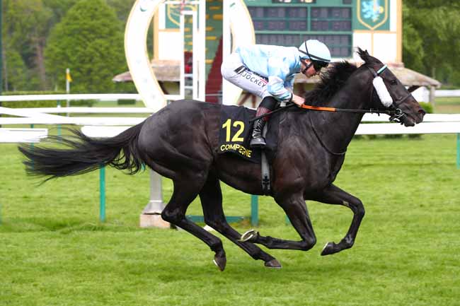 Photo d'arrivée de la course pmu PRIX D'AUTRECHES à COMPIEGNE le Vendredi 25 avril 2025