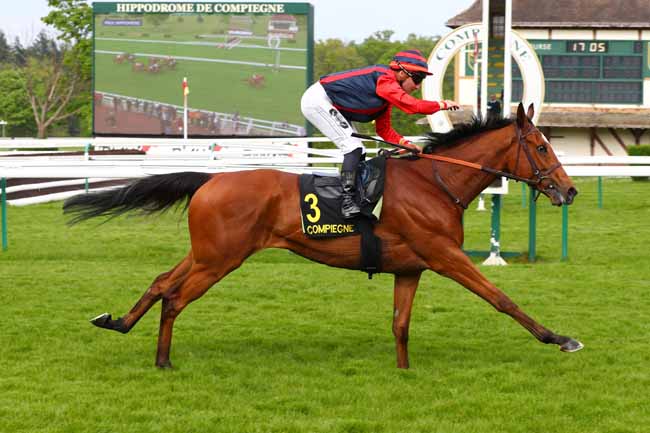 Photo d'arrivée de la course pmu PRIX HIPPOMENE à COMPIEGNE le Vendredi 25 avril 2025