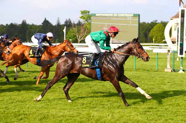 Photo d'arrivée de la course pmu PRIX DU CARREFOUR DU ROND ROYAL à COMPIEGNE le Vendredi 25 avril 2025