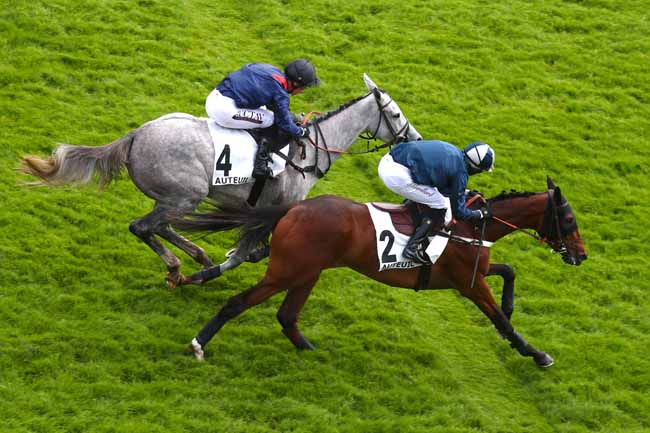 Photo d'arrivée de la course pmu PRIX GIROFLA à AUTEUIL le Samedi 26 avril 2025