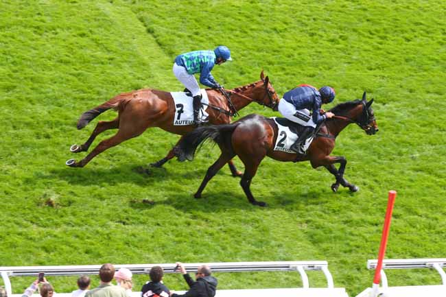 Photo d'arrivée de la course pmu PRIX GO AHEAD à AUTEUIL le Samedi 26 avril 2025