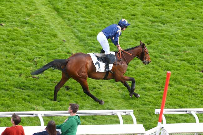 Photo d'arrivée de la course pmu PRIX ROGER DUCHENE - GRAND PRIX DES JEUNES JOCKEYS à AUTEUIL le Samedi 26 avril 2025