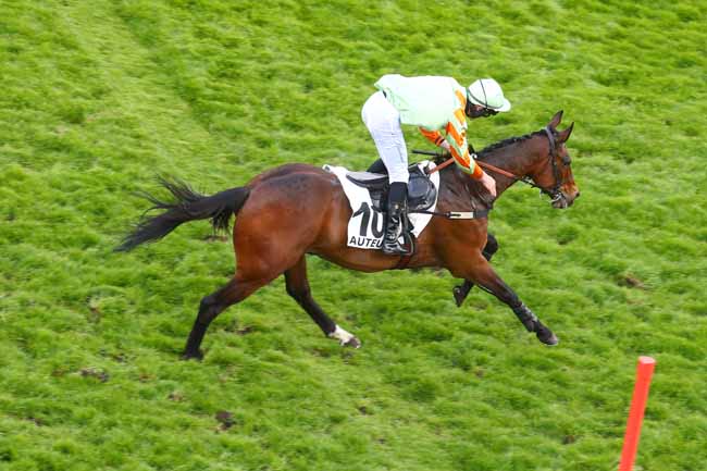 Photo d'arrivée de la course pmu PRIX LE RHEUSOIS à AUTEUIL le Samedi 26 avril 2025