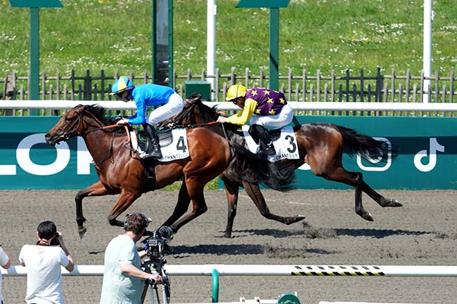 Photo d'arrivée de la course pmu PRIX DU BOIS DES BOULEAUX à CHANTILLY le Lundi 28 avril 2025