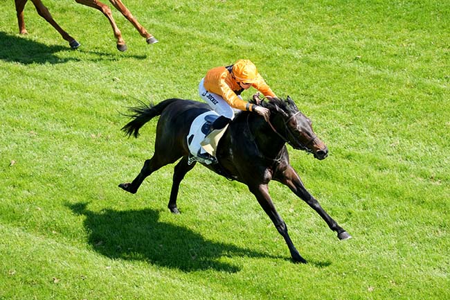 Photo d'arrivée de la course pmu PRIX DE CHAMANT à CHANTILLY le Lundi 28 avril 2025