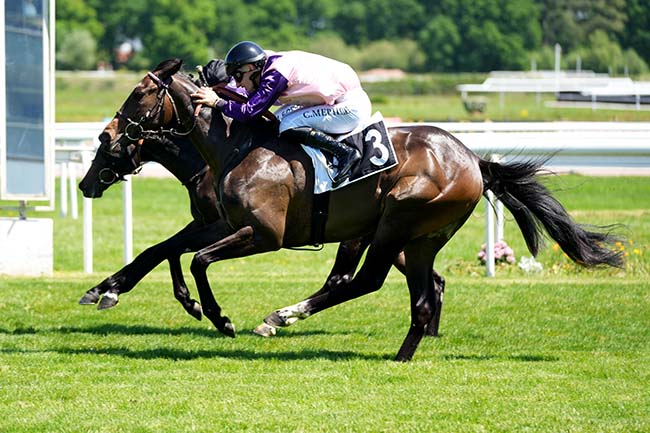 Photo d'arrivée de la course pmu PRIX DU PAVE DES CHARTRONS à BORDEAUX-LE BOUSCAT le Mardi 29 avril 2025