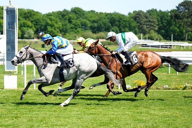 Photo d'arrivée de la course pmu PRIX DU TREMBLAY à BORDEAUX-LE BOUSCAT le Mardi 29 avril 2025
