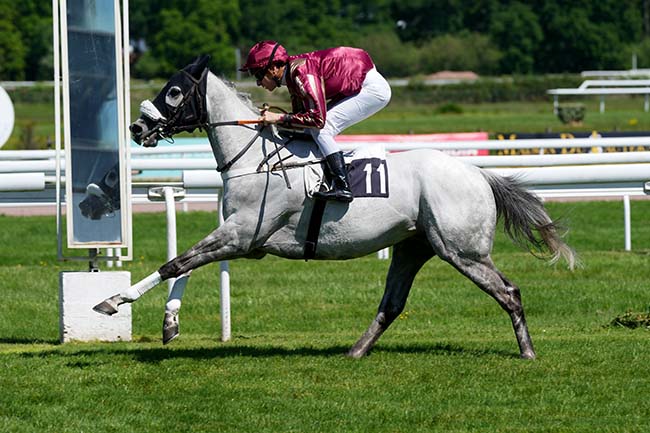 Photo d'arrivée de la course pmu PRIX CLAUDE DUMEAU à BORDEAUX-LE BOUSCAT le Mardi 29 avril 2025
