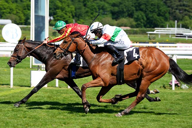 Photo d'arrivée de la course pmu PRIX PMU + - PRIX DANIEL GUESTIER à BORDEAUX-LE BOUSCAT le Mardi 29 avril 2025