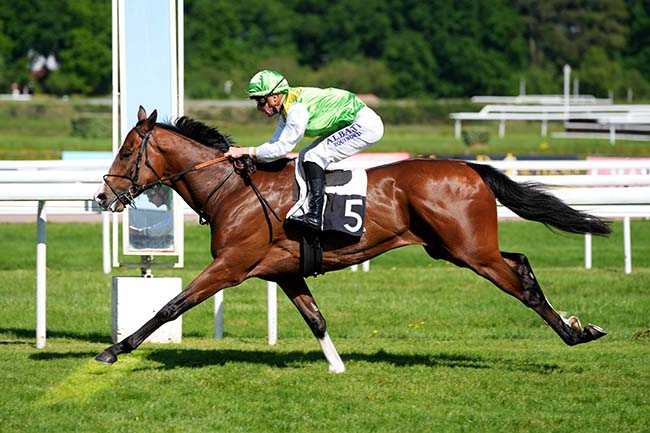 Photo d'arrivée de la course pmu PRIX PHILANTE à BORDEAUX-LE BOUSCAT le Mardi 29 avril 2025