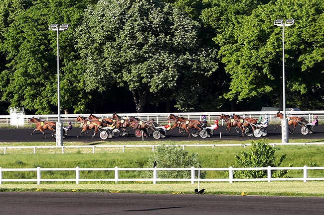Photo d'arrivée de la course pmu PRIX VANADIS à PARIS-VINCENNES le Mardi 29 avril 2025