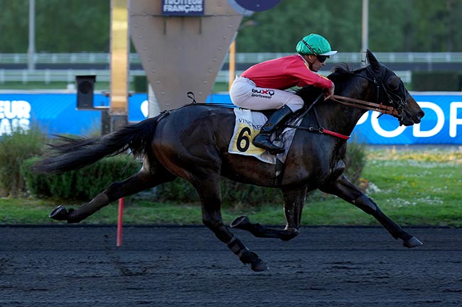Photo d'arrivée de la course pmu PRIX ANNA à PARIS-VINCENNES le Mardi 29 avril 2025