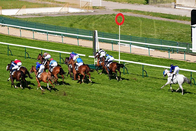 Photo d'arrivée de la course pmu PRIX DU MARAIS à LONGCHAMP le Mercredi 30 avril 2025