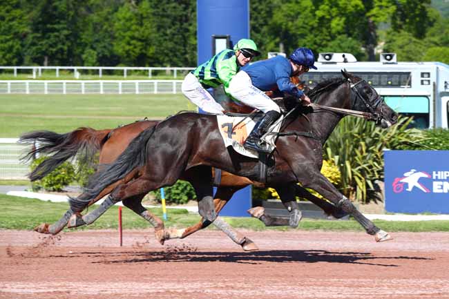 Photo d'arrivée de la course pmu PRIX D'HERMONVILLE à ENGHIEN le Mercredi 30 avril 2025