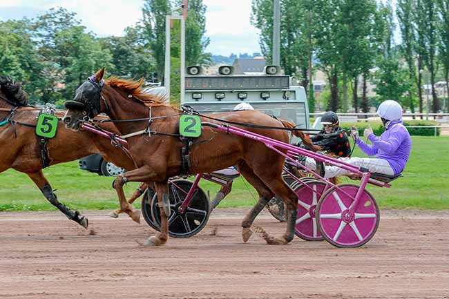 Photo d'arrivée de la course pmu PRIX DE SAINT-LOUP à VICHY le Lundi 12 mai 2025