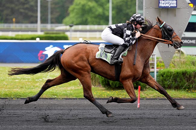 Photo d'arrivée de la course pmu PRIX EMILE NEVEUX à PARIS-VINCENNES le Mardi 13 mai 2025