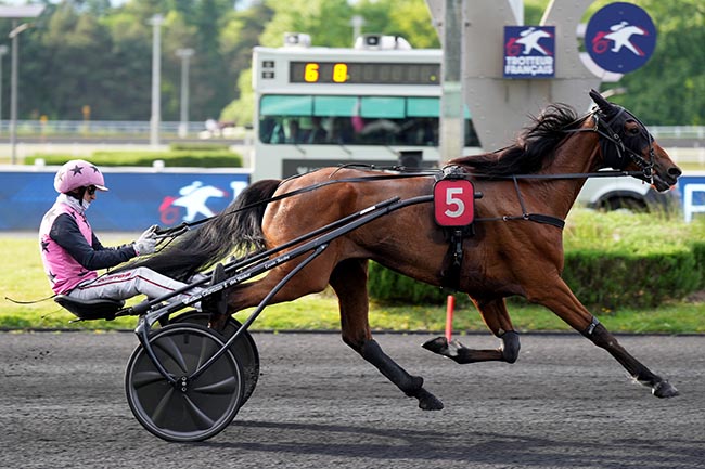 Photo d'arrivée de la course pmu PRIX MURZIM à PARIS-VINCENNES le Mardi 13 mai 2025
