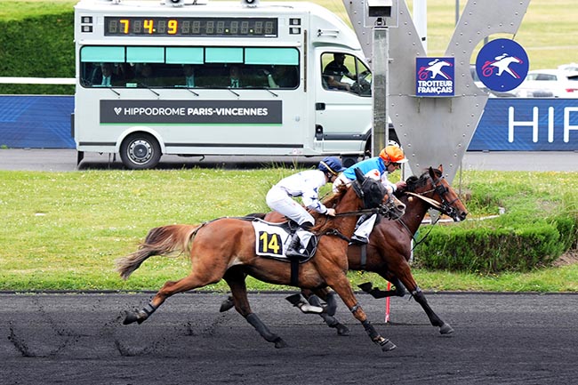 Photo d'arrivée de la course pmu PRIX DE L'AUBE à PARIS-VINCENNES le Mercredi 14 mai 2025