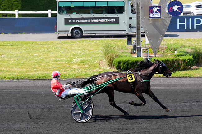 Photo d'arrivée de la course pmu PRIX DE NICE à PARIS-VINCENNES le Mercredi 14 mai 2025