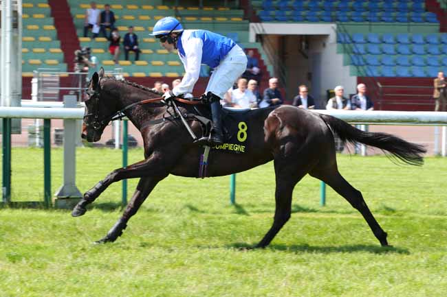 Photo d'arrivée de la course pmu PRIX NIVOLET à COMPIEGNE le Mercredi 14 mai 2025