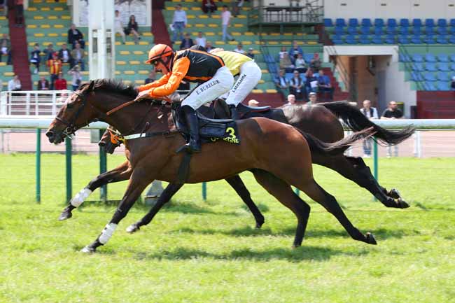 Photo d'arrivée de la course pmu PRIX COLONEL BERNARD MARLIN à COMPIEGNE le Mercredi 14 mai 2025