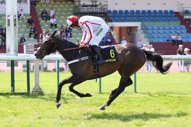 Photo d'arrivée de la course pmu PRIX DU CHER à COMPIEGNE le Mercredi 14 mai 2025