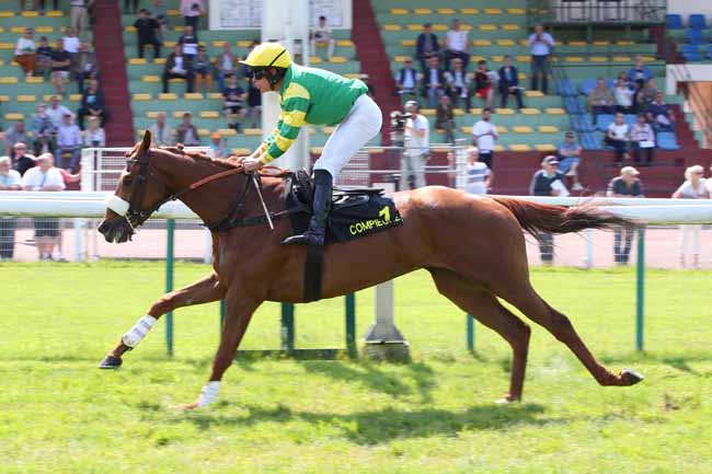 Photo d'arrivée de la course pmu PRIX GALAFRON à COMPIEGNE le Mercredi 14 mai 2025