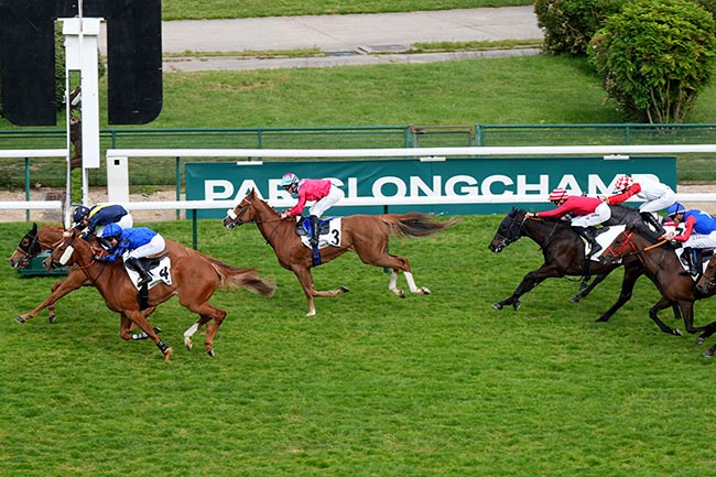 Photo d'arrivée de la course pmu PRIX DU PASSAGE DES PRINCES à LONGCHAMP le Jeudi 15 mai 2025