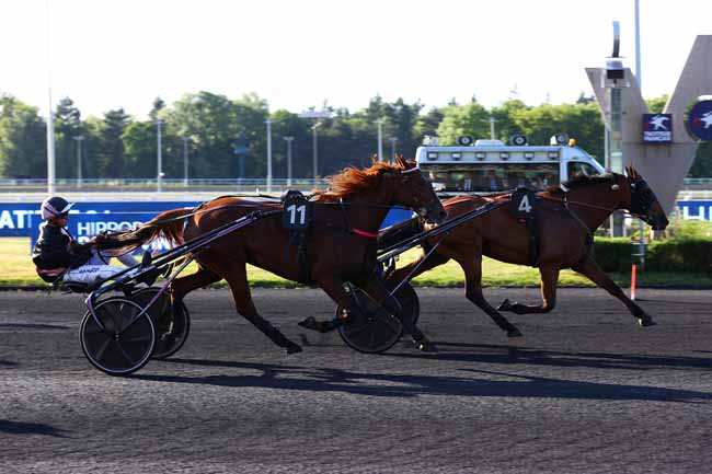 Photo d'arrivée de la course pmu PRIX DEJANIRA à PARIS-VINCENNES le Vendredi 16 mai 2025