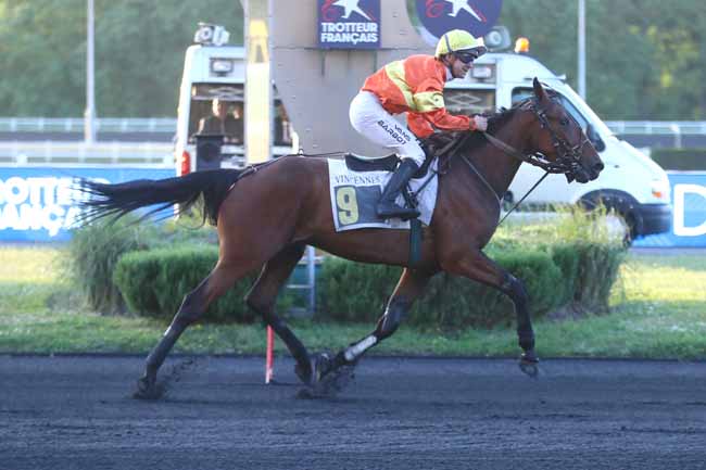 Photo d'arrivée de la course pmu PRIX KLYTAEMNESTRE à PARIS-VINCENNES le Vendredi 16 mai 2025