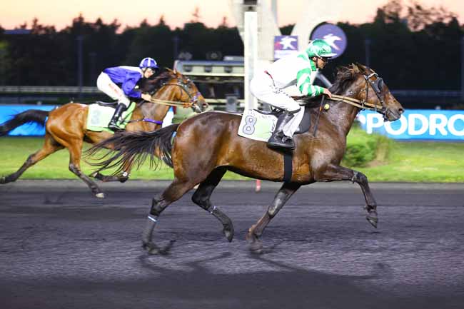 Photo d'arrivée de la course pmu PRIX LILACA à PARIS-VINCENNES le Vendredi 16 mai 2025