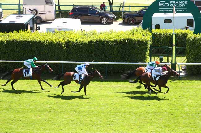 Photo d'arrivée de la course pmu PRIX TEXANITA à CHANTILLY le Vendredi 16 mai 2025