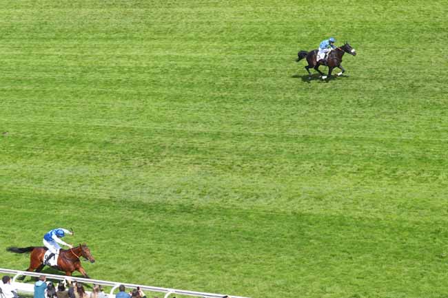 Photo d'arrivée de la course pmu RACING TV GRANDE COURSE DE HAIES D'AUTEUIL à AUTEUIL le Samedi 17 mai 2025