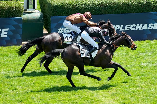 Photo d'arrivée de la course pmu PRIX MARECHAL FOCH à AUTEUIL le Dimanche 18 mai 2025