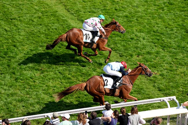 Photo d'arrivée de la course pmu GENY.COM PRIX WILD RISK à AUTEUIL le Dimanche 18 mai 2025