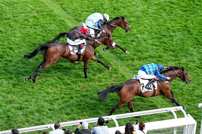 Photo d'arrivée de la course pmu PRIX ALAIN DU BREIL - COURSE DE HAIES DE PRINTEMPS DES 4 ANS à AUTEUIL le Dimanche 18 mai 2025