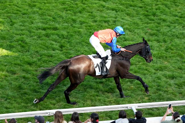 Photo d'arrivée de la course pmu PRIX RMC DECOUVERTE (PRIX CARMONT) à AUTEUIL le Dimanche 18 mai 2025