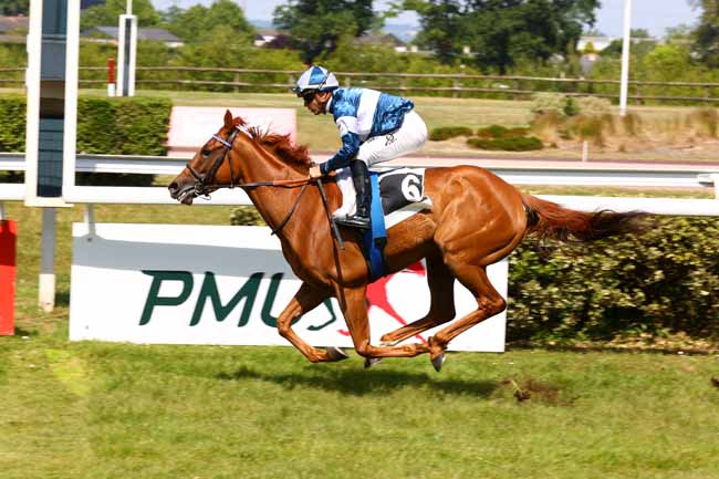 Photo d'arrivée de la course pmu PRIX DES ANGEVINS à ANGERS le Mardi 20 mai 2025