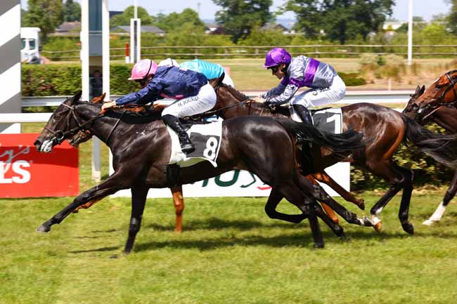 Photo d'arrivée de la course pmu PRIX DE PUYCHARIC à ANGERS le Mardi 20 mai 2025