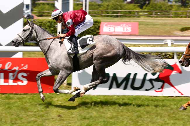 Photo d'arrivée de la course pmu PRIX DES JARDINS DU MAIL à ANGERS le Mardi 20 mai 2025