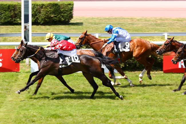 Arrivée quinté pmu HANDICAP D'ANGERS LOIRE METROPOLE à ANGERS