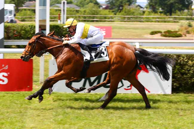 Photo d'arrivée de la course pmu PRIX ANGERS INFO (PRIX D'EVENTARD) à ANGERS le Mardi 20 mai 2025